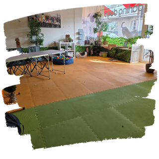 Moderne Schulungsräume bei Darling Dogs